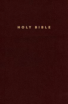 NLT Gift and Award Bible, Burgundy, (IL)